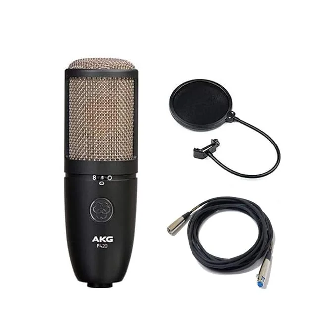 AKG Project Studio P420 Multi-Pattern Large Diaphragm Condenser Microphone + Stand + XLR/XLR Cable