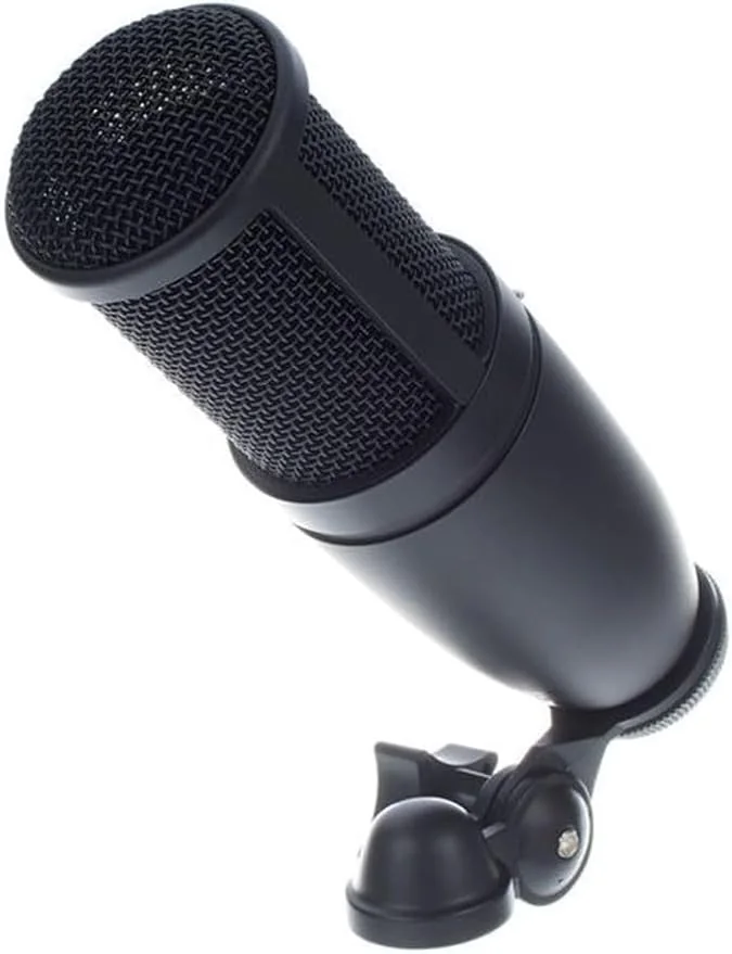 AKG P120 High-Performance Cardioid Wired Condenser Microphone