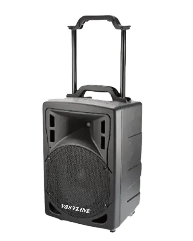 VASTLINE SP 5001 Active Speaker With 2 handed mic set